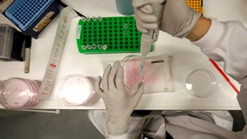 Найдена причина неизлечимости рака кожи