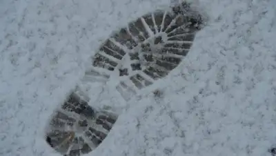 Вести, фото - Новости Zakon.kz от 03.05.2018 11:50