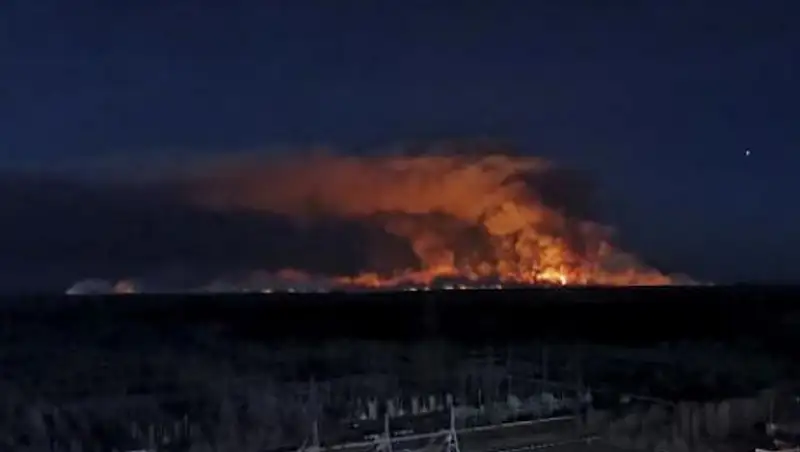 Огонь в Чернобыльской зоне отчуждения добрался до Припяти