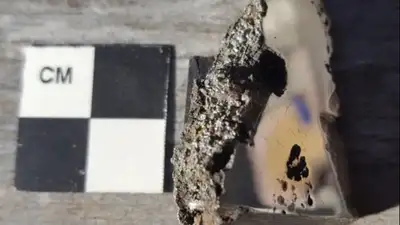 метеорит Эль Али, фото - Новости Zakon.kz от 30.11.2022 16:56