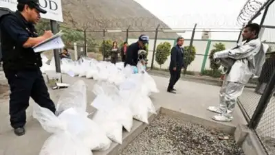 tvc.ru, фото - Новости Zakon.kz от 31.05.2018 07:50