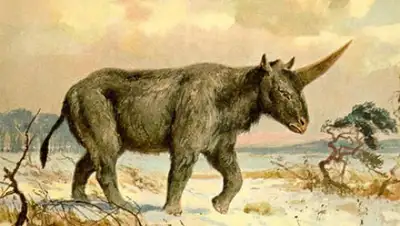 Изображение: Wikipedia, фото - Новости Zakon.kz от 26.12.2017 21:04