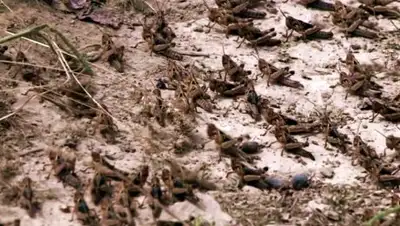 Zakon.kz, фото - Новости Zakon.kz от 13.06.2016 22:56