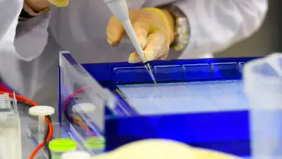 360tv.ru, фото - Новости Zakon.kz от 10.04.2020 20:22