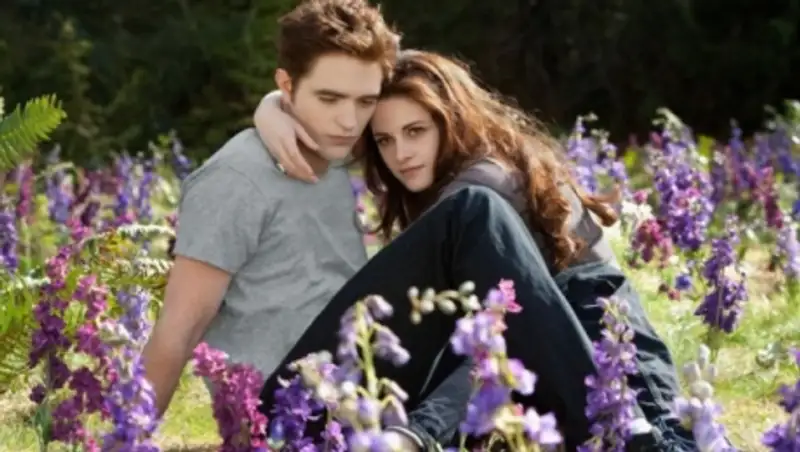 Новые «сумерки» снимут по сценарию фанатов 