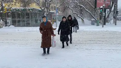 В  снежном плену: в Шымкенте и Таразе выпало около 30 см снега, фото - Новости Zakon.kz от 10.01.2023 15:56