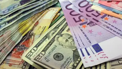 Zakon.kz, фото - Новости Zakon.kz от 31.01.2015 23:06