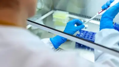 unsplash.com, фото - Новости Zakon.kz от 20.06.2020 08:21