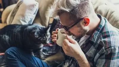 pixabay.com, фото - Новости Zakon.kz от 24.08.2021 23:18