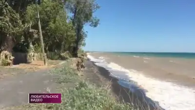 Кадр из видео, фото - Новости Zakon.kz от 23.06.2020 01:17