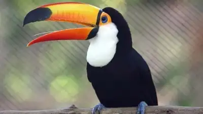 Zakon.kz, фото - Новости Zakon.kz от 08.06.2015 12:38