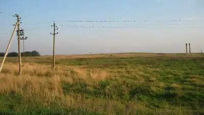 Zakon.kz, фото - Новости Zakon.kz от 06.04.2016 21:43