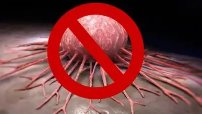 Zakon.kz, фото - Новости Zakon.kz от 27.11.2017 10:11