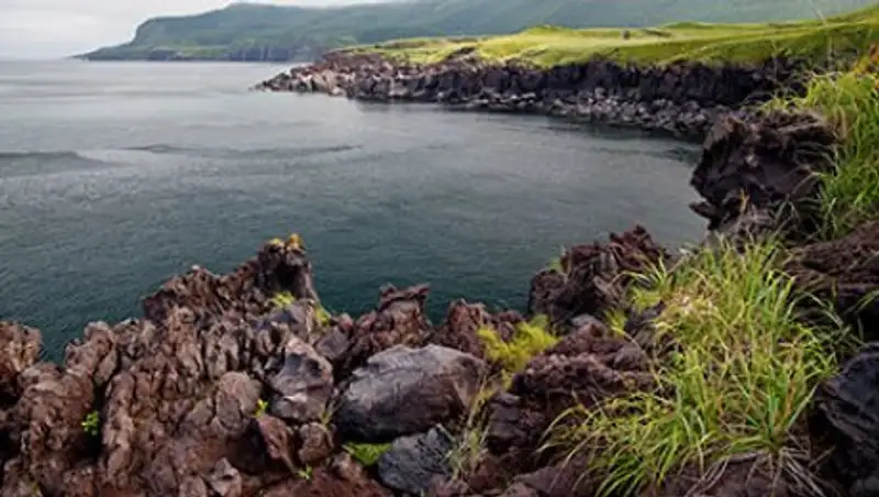 Япония отказалась прислушаться к совету Путина по Курилам