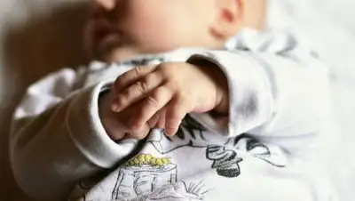 pixabay.com, фото - Новости Zakon.kz от 08.09.2021 16:51