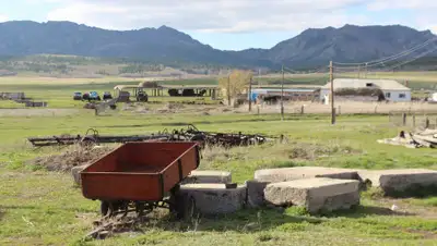 pikabu.ru, фото - Новости Zakon.kz от 03.12.2019 10:44