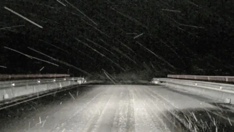 Окровавленного голого мужчину нашли полицейские на дороге