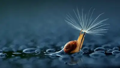 Zakon.kz, фото - Новости Zakon.kz от 06.06.2015 21:48