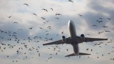 Zakon.kz, фото - Новости Zakon.kz от 29.12.2016 14:51