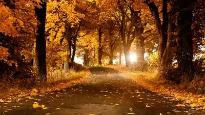 Zakon.kz, фото - Новости Zakon.kz от 18.09.2015 15:36