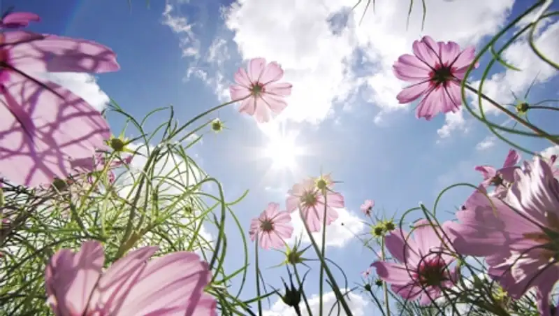 10 мая на большей территории Казахстана ожидается погода без осадков