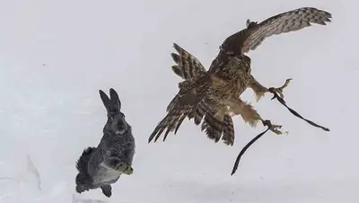 Zakon.kz, фото - Новости Zakon.kz от 23.02.2016 05:41