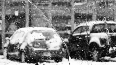 Pixabay, фото - Новости Zakon.kz от 09.11.2020 09:39