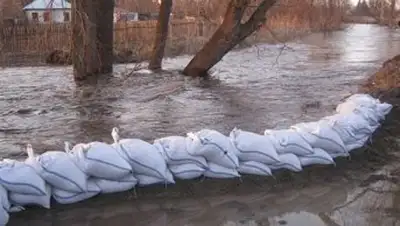 Zakon.kz, фото - Новости Zakon.kz от 01.04.2014 16:53