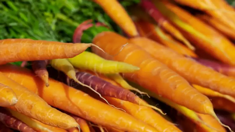 Фермеры оказались на грани банкротства