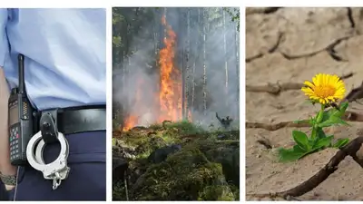 Главное к утру: жуткое убийство ребенка в Алматы, пожар в Акмолинской области и ЧС для Павлодарского региона , фото - Новости Zakon.kz от 14.07.2023 07:51