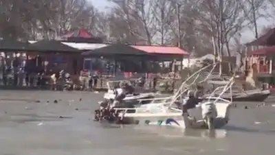 Twitter, фото - Новости Zakon.kz от 21.03.2019 20:45