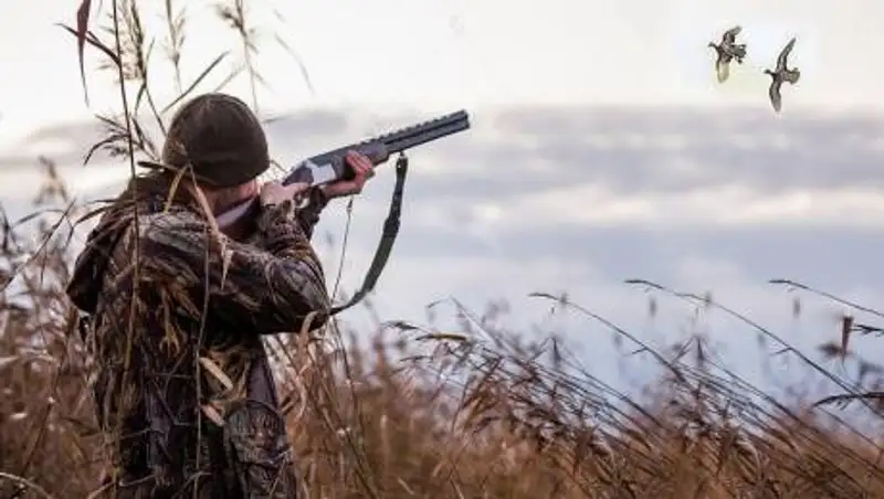 На каких животных разрешили охотиться в Казахстане