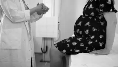 pixabay.com, фото - Новости Zakon.kz от 10.09.2021 16:22