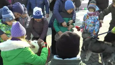 ДП Алматы, фото - Новости Zakon.kz от 26.02.2019 16:54