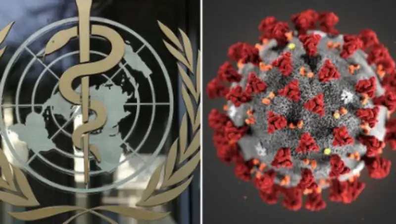 Глава ВОЗ признал карантин неэффективным в борьбе с коронавирусом