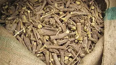 Zakon.kz, фото - Новости Zakon.kz от 19.09.2014 15:45