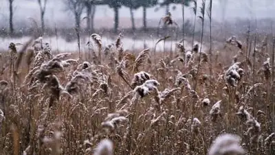 pixabay, фото - Новости Zakon.kz от 03.10.2021 15:03