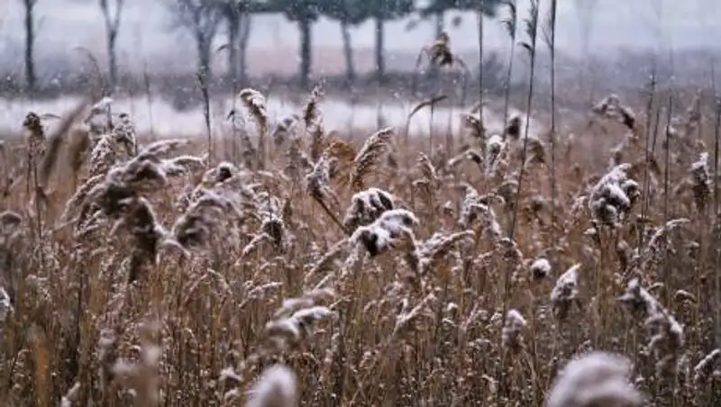 Дождь, снег и гололед: какая погода ожидает казахстанцев в понедельник