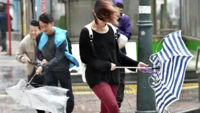 Zakon.kz, фото - Новости Zakon.kz от 22.08.2016 17:18