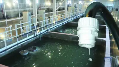 atpress.kz, фото - Новости Zakon.kz от 19.10.2019 07:37