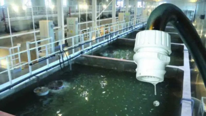 30 млрд тенге пытаются взыскать экологи с "Атырау су арнасы"