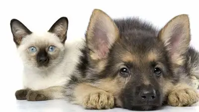 Zakon.kz, фото - Новости Zakon.kz от 25.04.2014 17:22