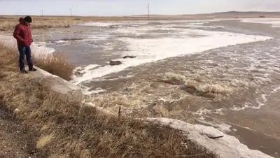 Zakon.kz, фото - Новости Zakon.kz от 31.03.2017 16:48