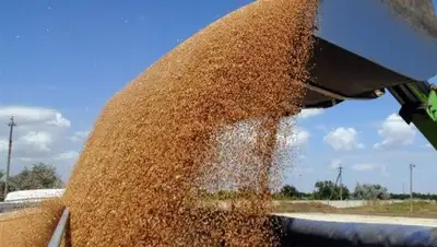 Zakon.kz, фото - Новости Zakon.kz от 20.12.2016 17:14