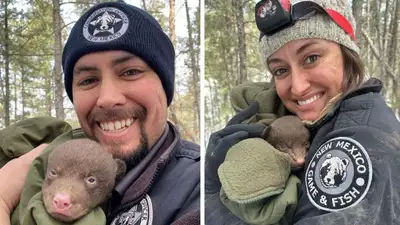 В США  срочно разыскивают профессиональных "обнимателей медведей", фото - Новости Zakon.kz от 22.03.2023 04:50