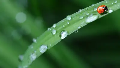 pixabay.com, фото - Новости Zakon.kz от 17.08.2019 09:23