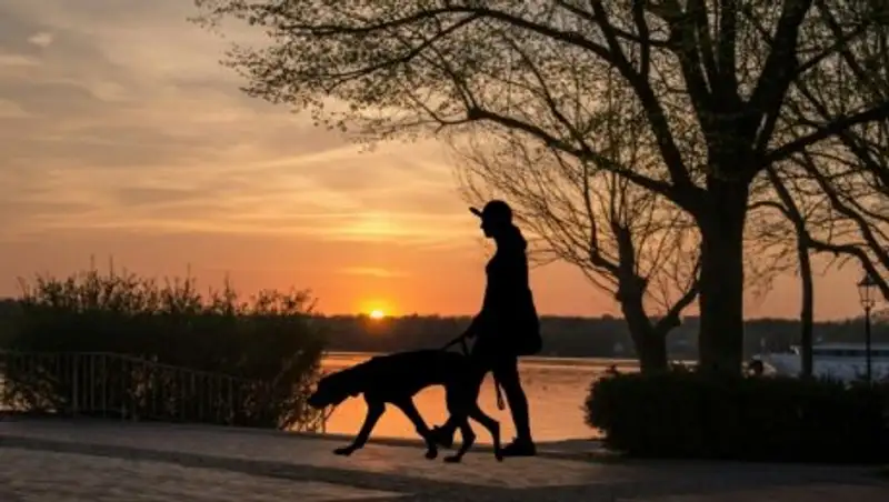 Водитель выгнал пассажира с собакой из автобуса в Алматы