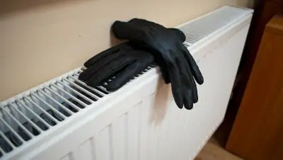 Pixabay, фото - Новости Zakon.kz от 07.02.2020 21:52