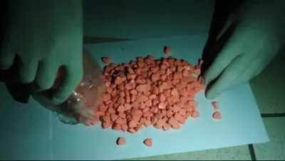 КНБ РК, фото - Новости Zakon.kz от 14.11.2019 11:38