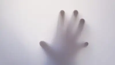 Pixabay, фото - Новости Zakon.kz от 31.10.2019 07:55